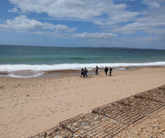 Exploring Coastal Defences and Urban Development