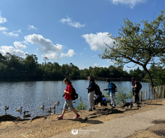 Capturing the Beauty of Black Park