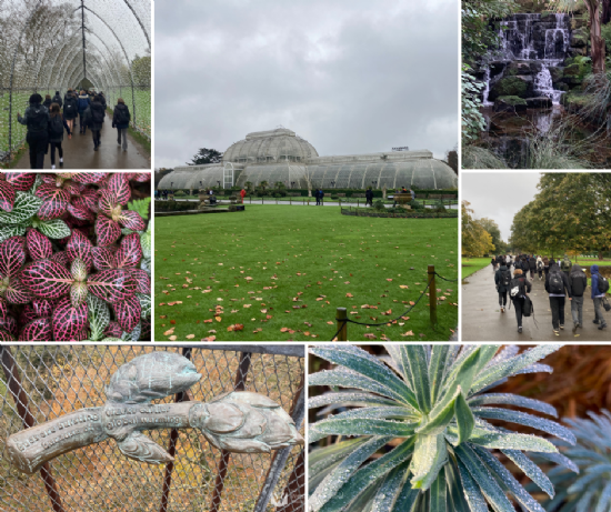 Blossoming Creativity at Kew Gardens