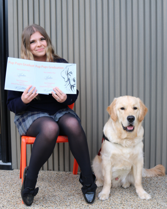Hudson's Therapy Dog Graduation!